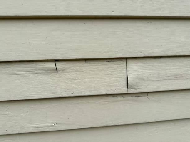 Best Aluminum Siding Installation  in USA